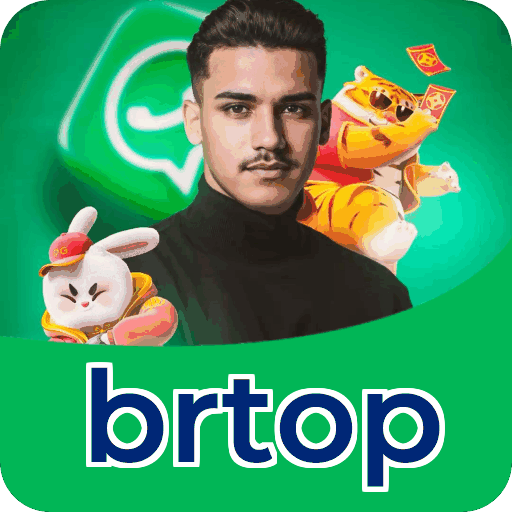 brtop VIP — segmentação e política de privacidade da plataforma
